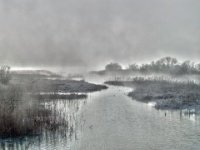 Ponds, rivers and lakes